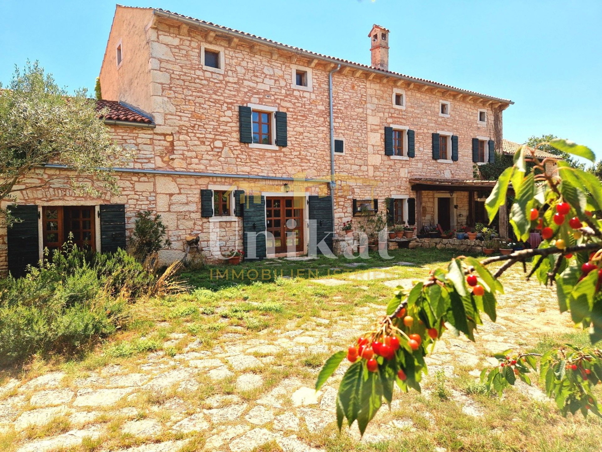 Avtentično posestvo s kamnito hišo in velikim zemljiščem